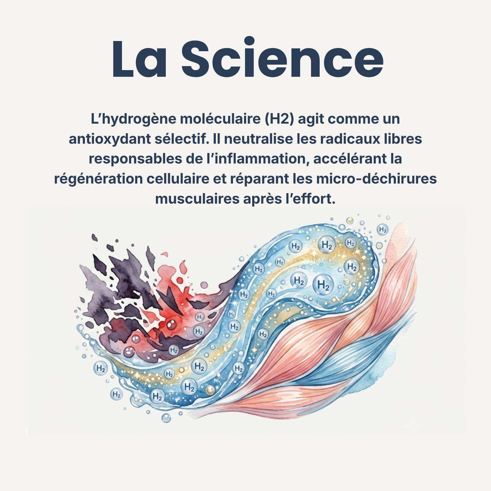 Bouteille Hydrolys One